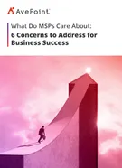 6 concerns msp ebook