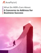 6 concerns msp ebook